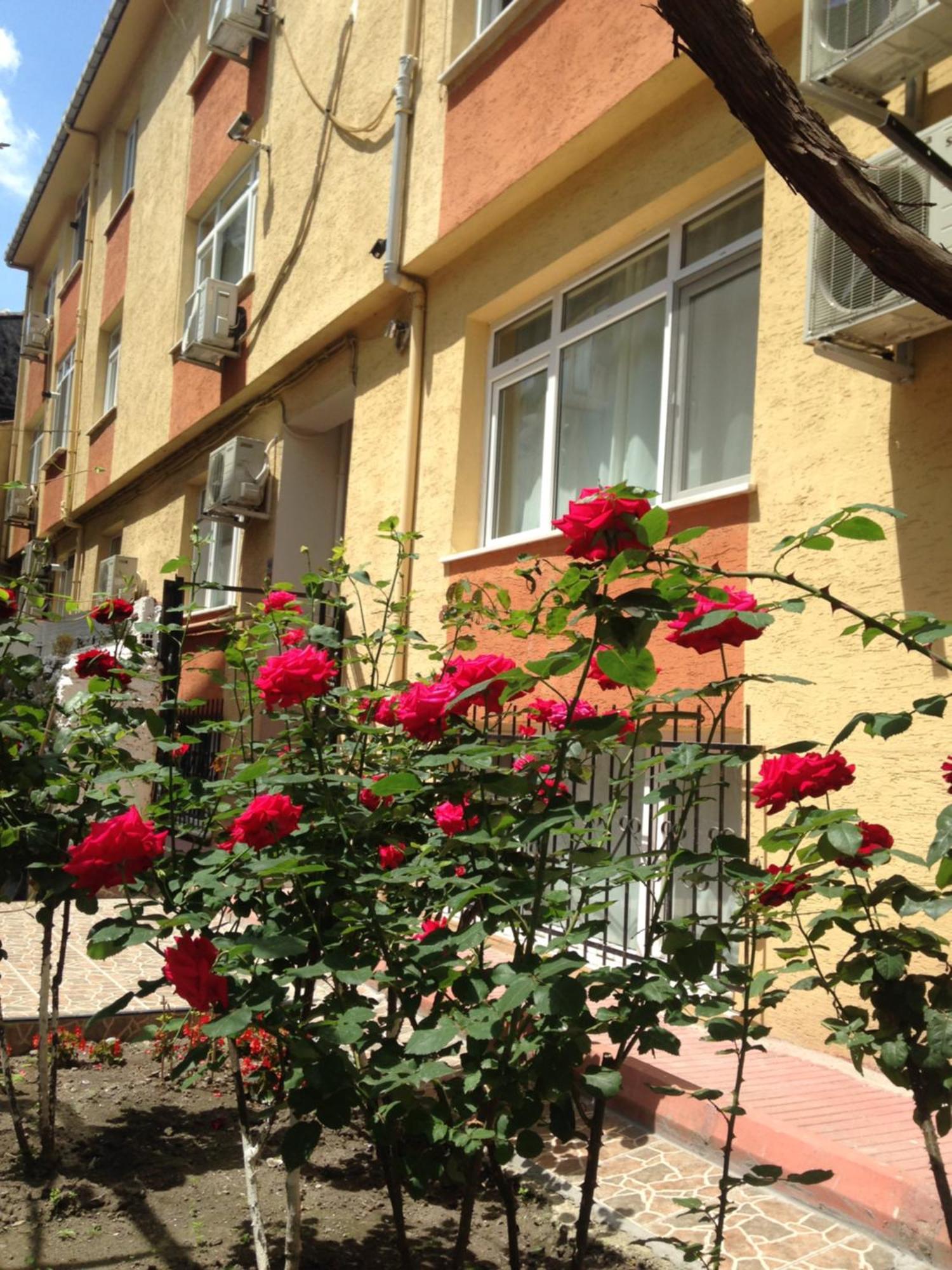 Apartament Sultanahmet Deluxe Yilmaz *